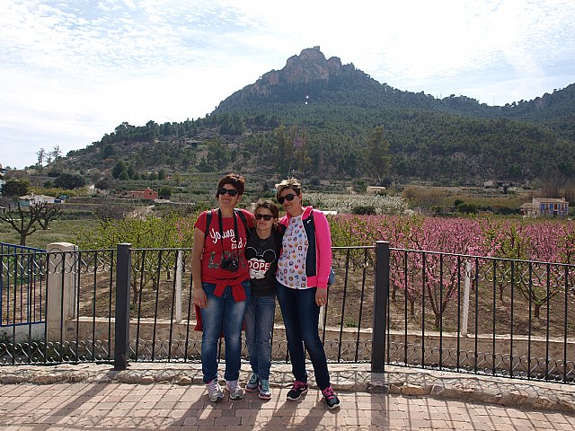 Floracin de Cieza -  El Caico - 27